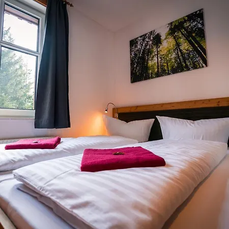 Berghotel Baerenstein Отель Беренштайн