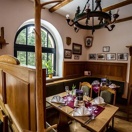 Отель Berghotel Baerenstein