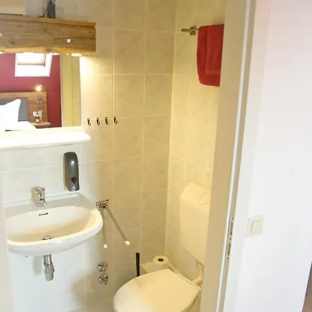 Hotel Berghotel Baerenstein Barenstein
