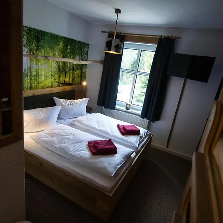 Berghotel Baerenstein Hotell Bärenstein