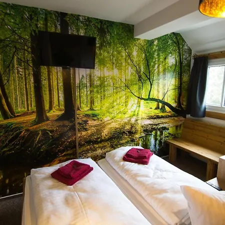 Berghotel Baerenstein Отель