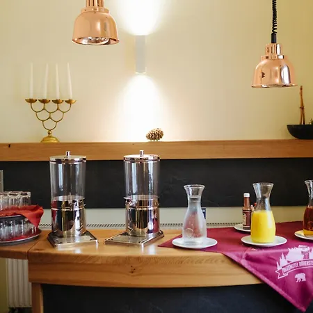 Berghotel Baerenstein Отель