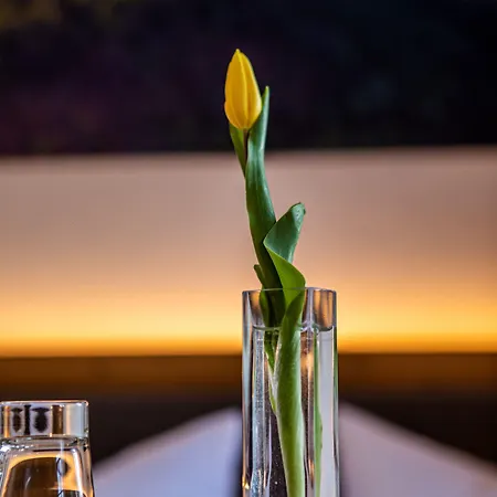 Berghotel Baerenstein Hotell 3*