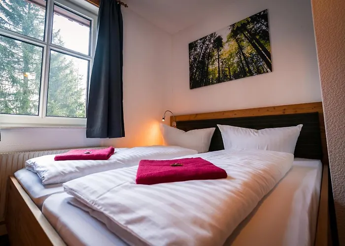 Berghotel Baerenstein فندق Bärenstein