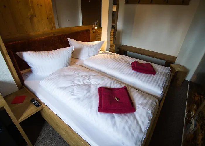 Hotel Berghotel Baerenstein 3*