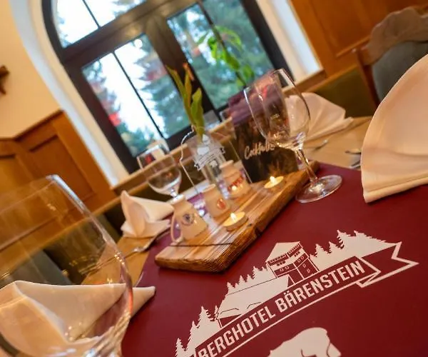فندق Berghotel Baerenstein Bärenstein