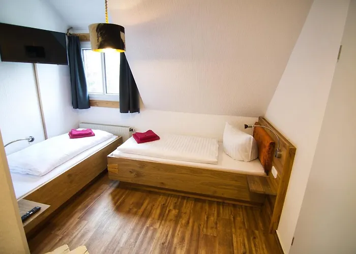 Berghotel Baerenstein فندق Bärenstein