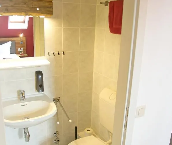 فندق Berghotel Baerenstein Bärenstein