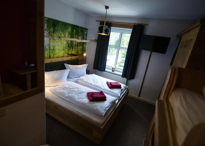 Berghotel Baerenstein فندق Bärenstein