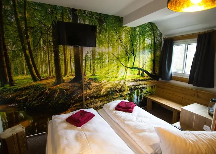 Berghotel Baerenstein فندق