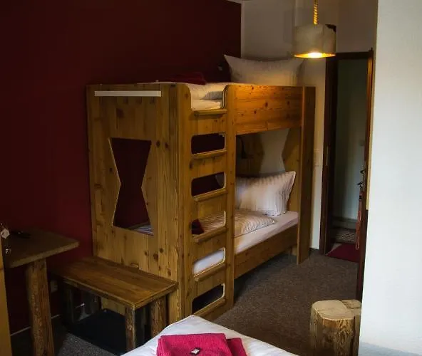 فندق Berghotel Baerenstein Bärenstein