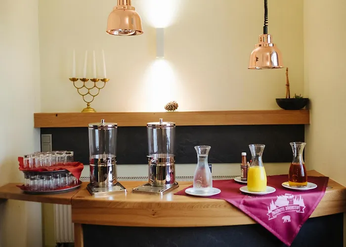 Berghotel Baerenstein فندق