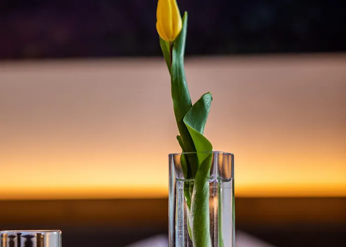 Berghotel Baerenstein فندق 3*